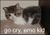 Gocryemocat.jpg