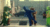 Jumpshark.gif