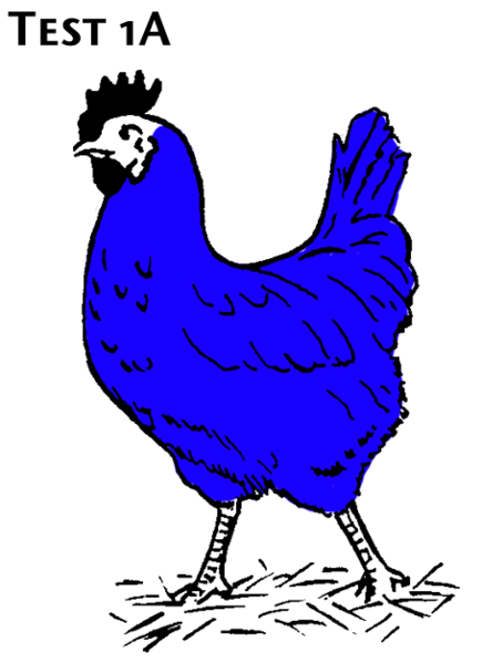 File:BlueChicken.png