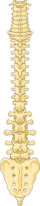 Thumbnail for version as of 11:30, 27 January 2023
