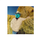 Monster Ranchar.png