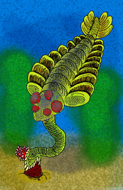 Originally, the Cambrian Explosion was a side-project of the widely successful Proterozoic Era.
