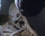 SpaceJockey-1-.jpg