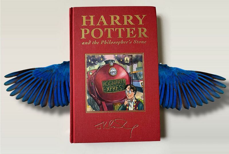 File:Hogwarts Bird.jpg