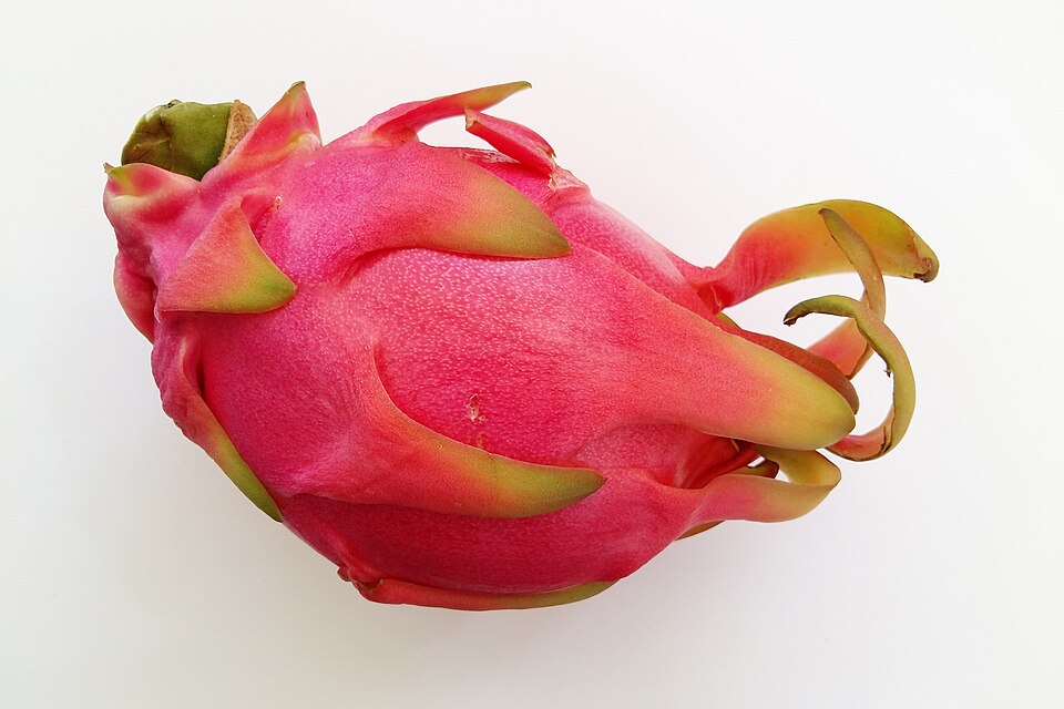 File:Dragon fruit (pitaya) on white background.jpg