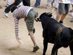 Runningbulls.jpg