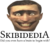 Skibidedia.png