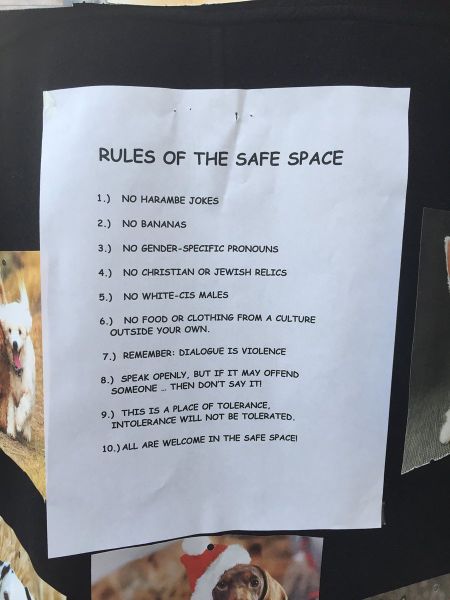 File:Rules of the safe space.jpg