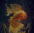 GiantGoldfishOfDoom.gif