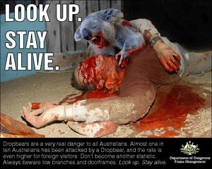 Drop Bears: University of New South Wales researchers uncover