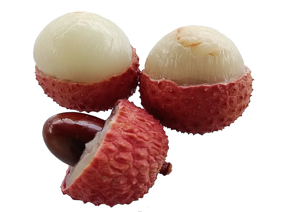 File:Litchi chinensis on White background.jpg