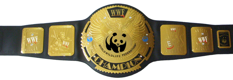 File:WWE Title Belt.png