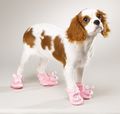 Dog-slippers.jpg