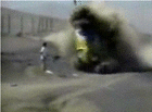Car crash with mr.stupid dumbass.gif