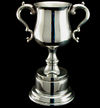 Trophy Of Cahmpions.jpg