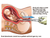 AbortC.png