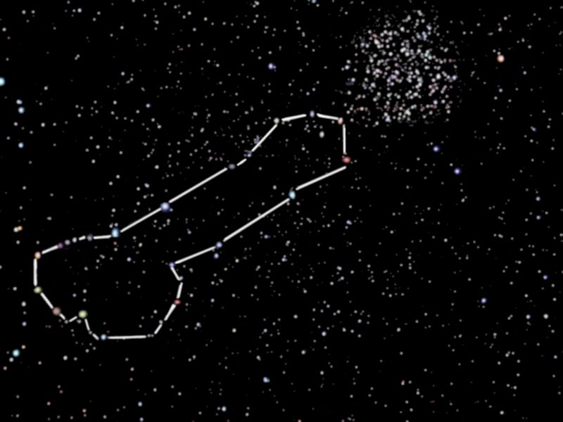 File:Penis constellation.jpg