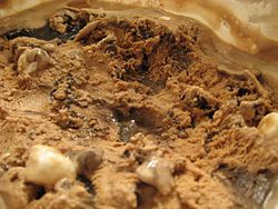 Rocky Road Ice Cream (3577985489).jpg