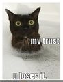 Funny-pictures-cat-bubble-bath-trust.jpg