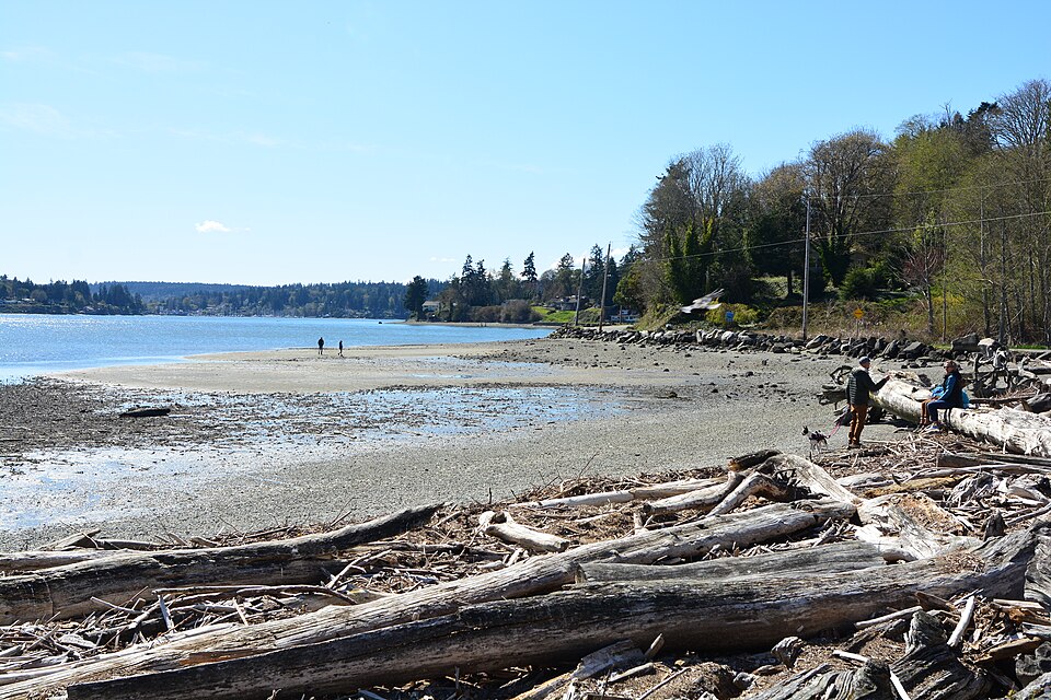960px-Beach_at_Portage_on_Quartermaster_Harbor_on_the_neck_between_Vashon_and_Maury_Islands_-_01.jpg