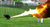 FruitcakeDogcrapFlame.jpg