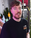 Mr. Beast actually professional fraudster