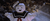 Mrstaypuft.png