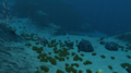 Subnautica mountains area.png