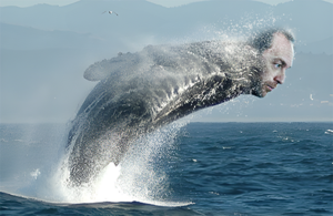 Jimbo Whales - whale v2.png