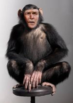 Photographic portrait of George W. Bush