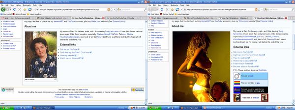 Wikipedia before and after edit.jpg