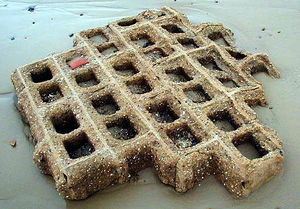 File:Beach waffle.jpg