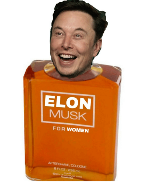 File:Elon Musk for Women.png