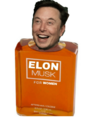 Elon Musk for Women.png