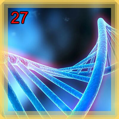 UNPLevel27.jpg