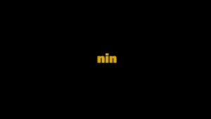 Nin.png