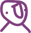 File:Detailed Picture of Mauve.svg