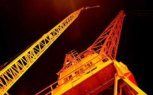 Grues.jpg