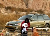 Michael Jackson demonstrating the proper way to feed dingoes.