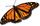Monarch-butterfly large.jpg